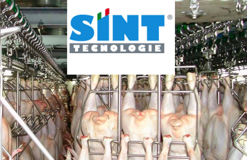 SINT